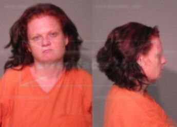 Brandy Michelle Shehan