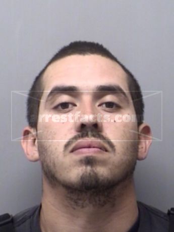 Daniel Pecina
