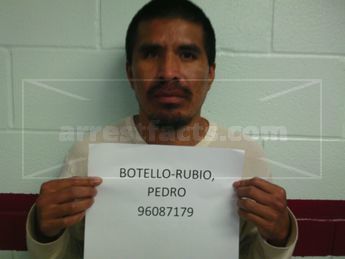 Pedro Botello-Rubio