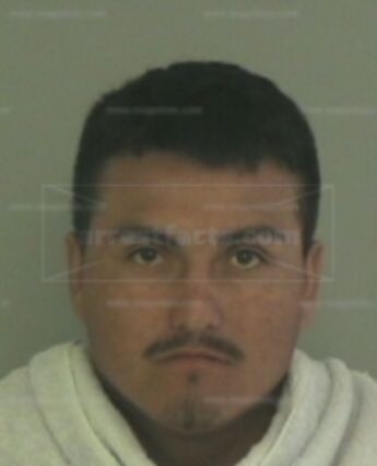 Marco Antonio Flores
