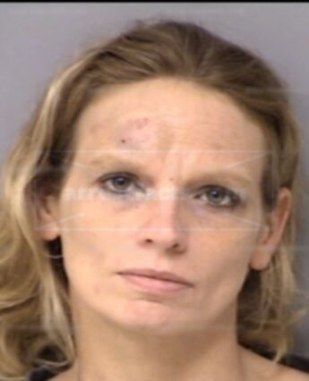 Karen Barnes Turner