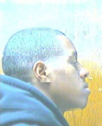 Stanley Wauddy