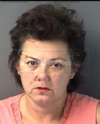 Mitzi Ann Goodwin