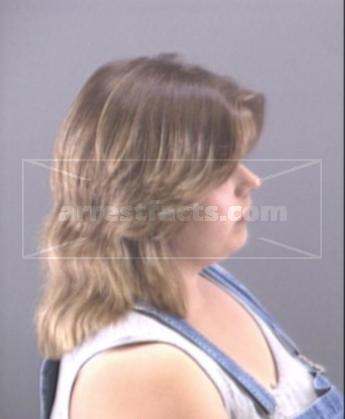 Amanda L Bagent