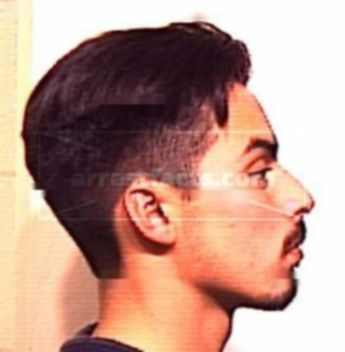 Michael Paul Delosantos