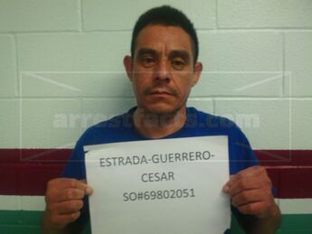 Cesar Estrada-Guerrero
