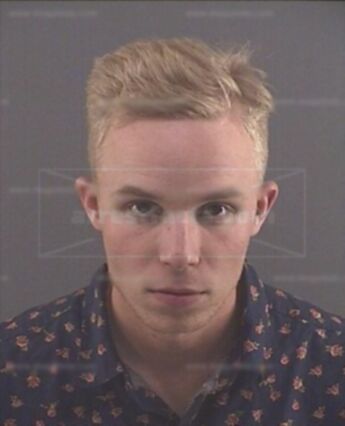Taylor A Layton