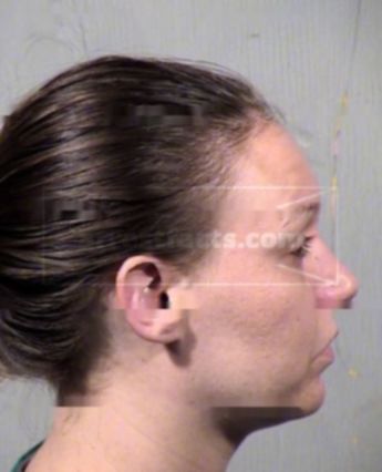 Krystle Elaine Fleming