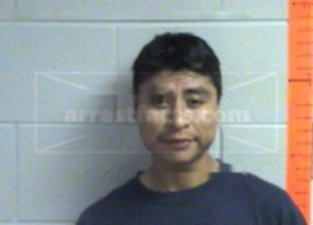 Marquez Flores