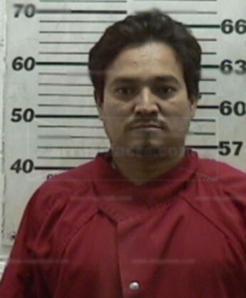 Mynor P Hernandez