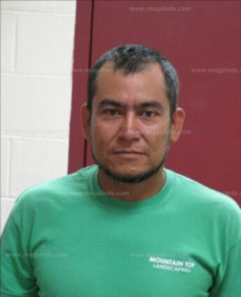 Domingo Hernandez