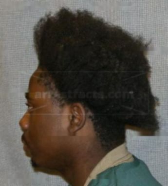 Artemus J Taylor
