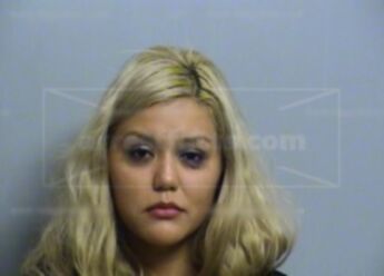 Vicky Elizabeth Chavez-Palacios