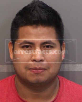Luis T Perez