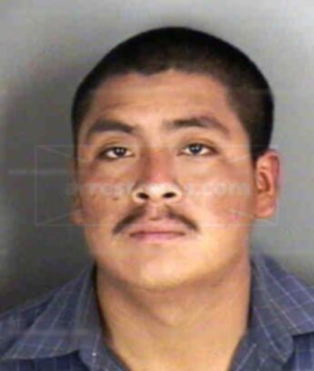 Nicasio Encino