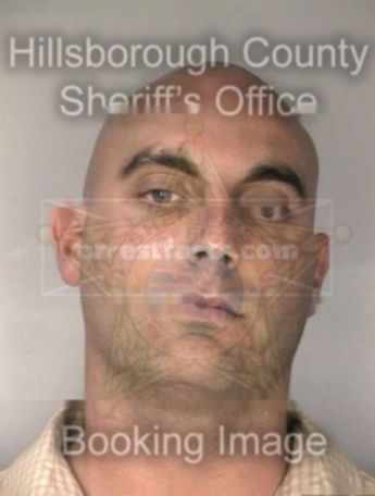 Michael D Anetrella