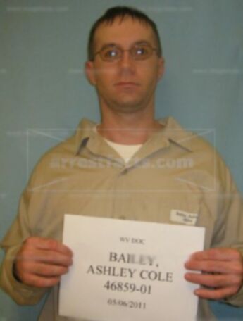 Ashley Cole Bailey