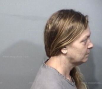 Jodi Ann Vanlandegent