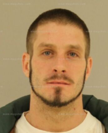 David Ray Petree