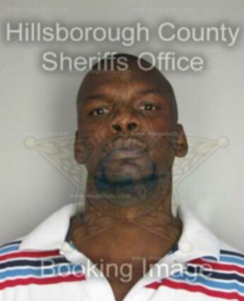 Stephen A Higgins