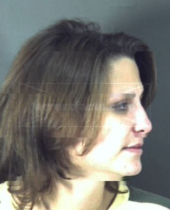 Julie Michelle Johnson