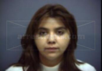 Christine M Villarreal