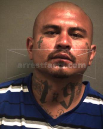 Anthony Mejia