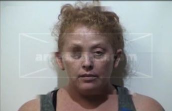 Terri Jean Schaible