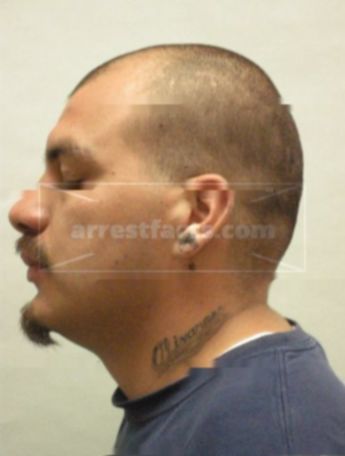 Juan J Olivares
