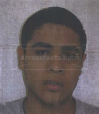 David Lee Alvin Palacios