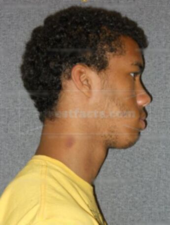 Troy J Paynes