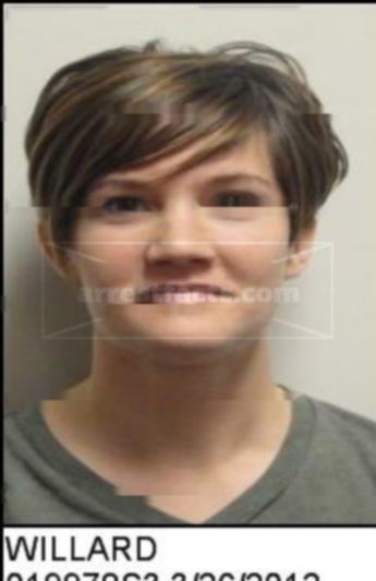 Amanda D Willard