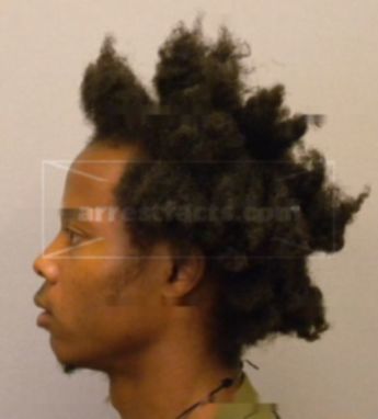 Deangelo M Parks