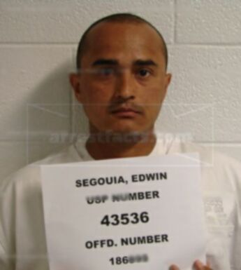 Edwin Ernesto Segouia