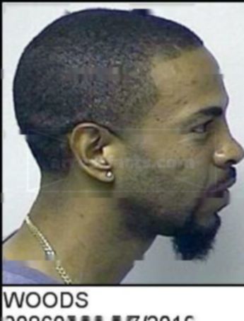 Robin Ray Woods