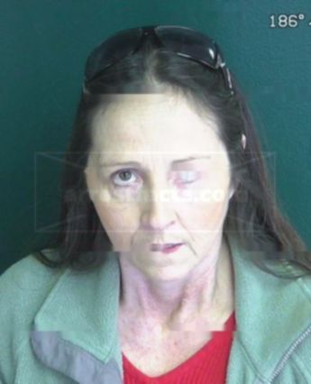 Elizabeth Vaughn Sitten