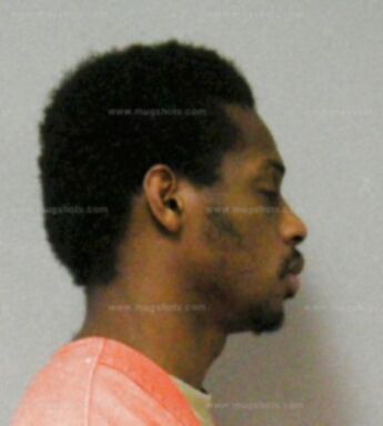 Marcus C Haynes