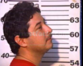 Roel Ponce Villareal