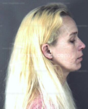 Leslie Ann Platt