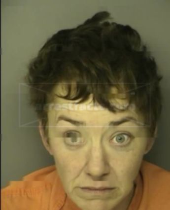 Veronica L Turner
