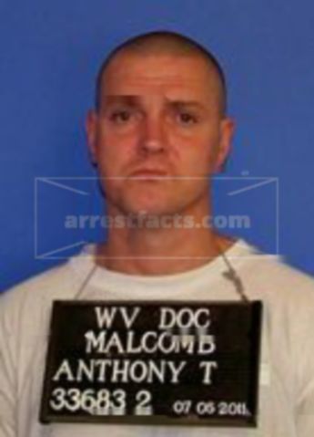 Anthony T Malcomb
