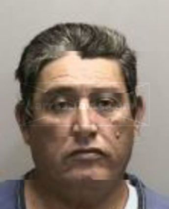 Rogelio A Salinas