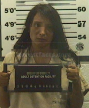 Janelle A Gonzales