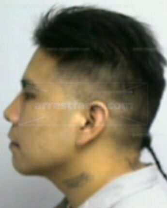 Gregory A Mouse