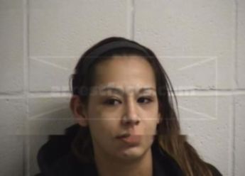 Christin Lillian Vannett