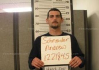 Andrew M Schneider