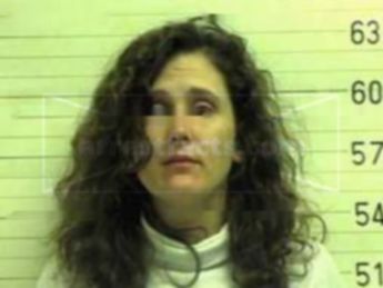 Shelley M Langman