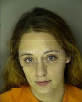 Ashley Michelle Medlin