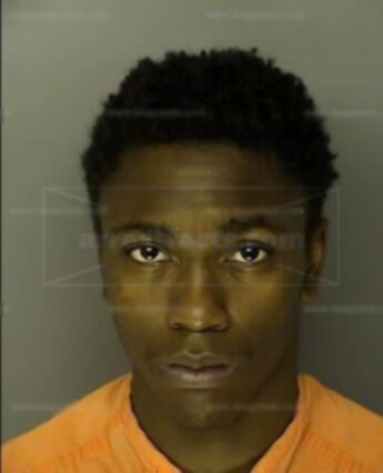 Michel Darnell Bellamy
