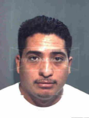 Jose Esteban Navarro